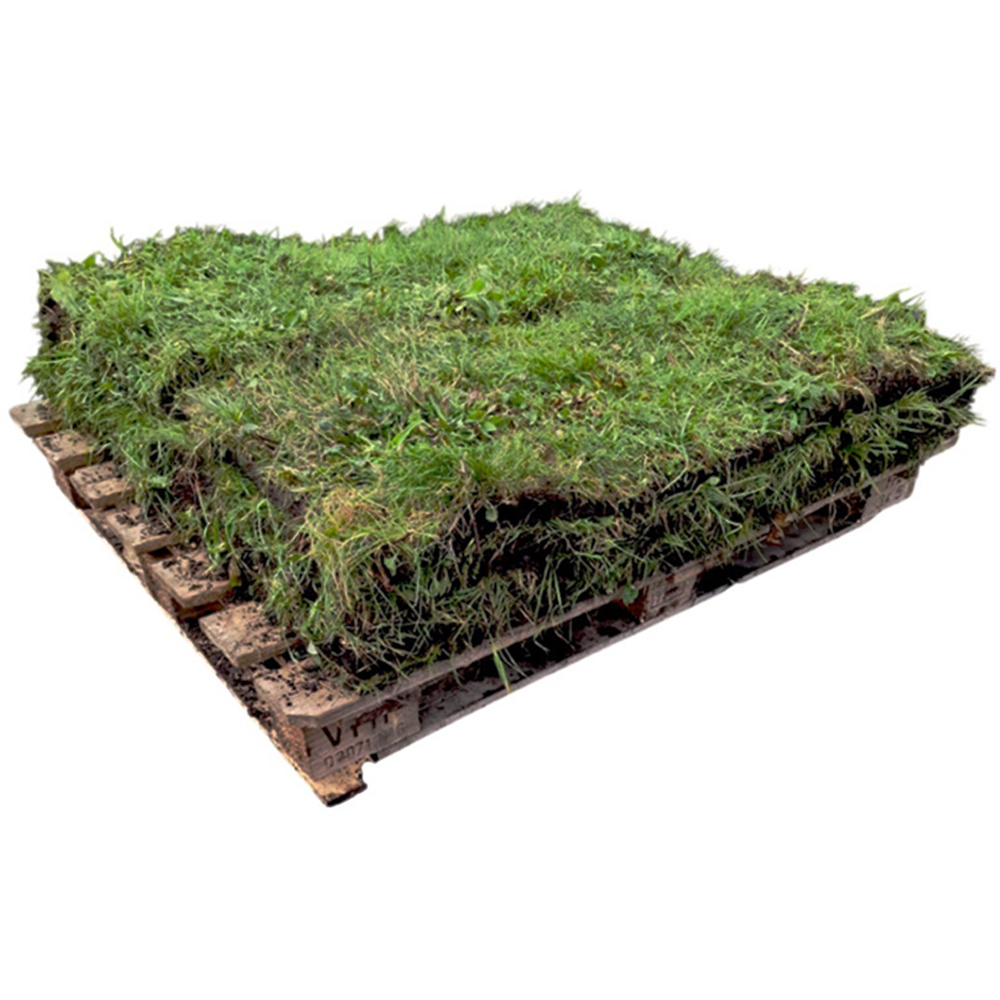 Harrowden Wildflower and Grass Meadowmat 5sqm Image 3