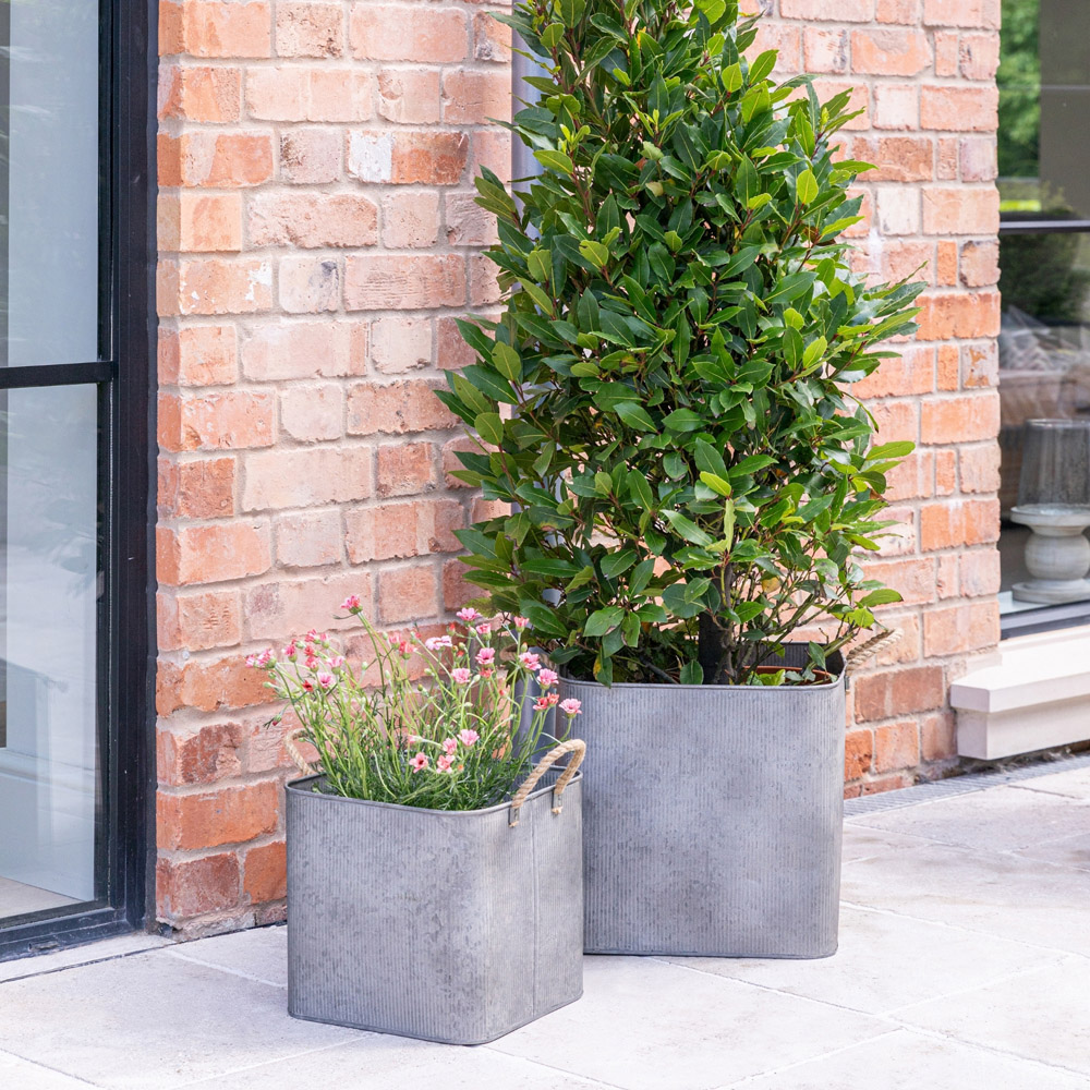 Ivyline Galvanised Rope Handle Square Planter 2 Pack Image 6