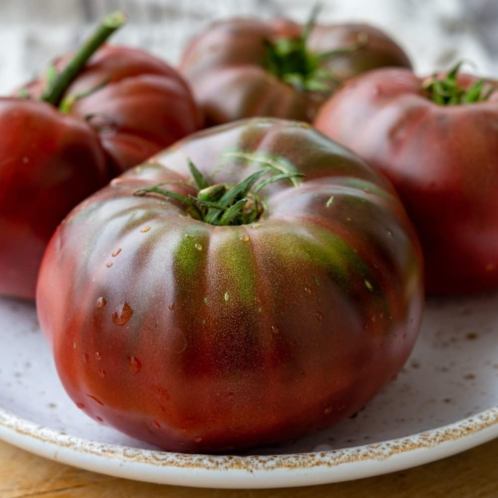 Thompson and Morgan Nurserymans Choice Grafted Vegetable Plant Pot 9cm 6 Pack Image 2