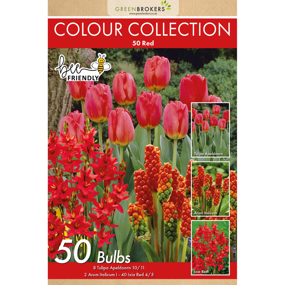GreenBrokers Dutch Red Colour Bee Friendly Mixed Collection Planting Bulb 50 Pack Image 2
