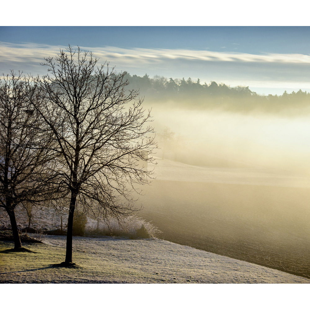 Mirrorstone Nexus Spring Morning Image Wi-Fi Infrared Heating Panel 1200W 995 x 1195mm Image 4