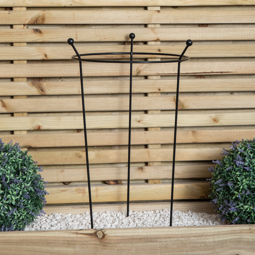 Samuel Alexander Steel Black Herbaceous Garden Plant Support Ring 60 x 35cm 10 Pack Image 8