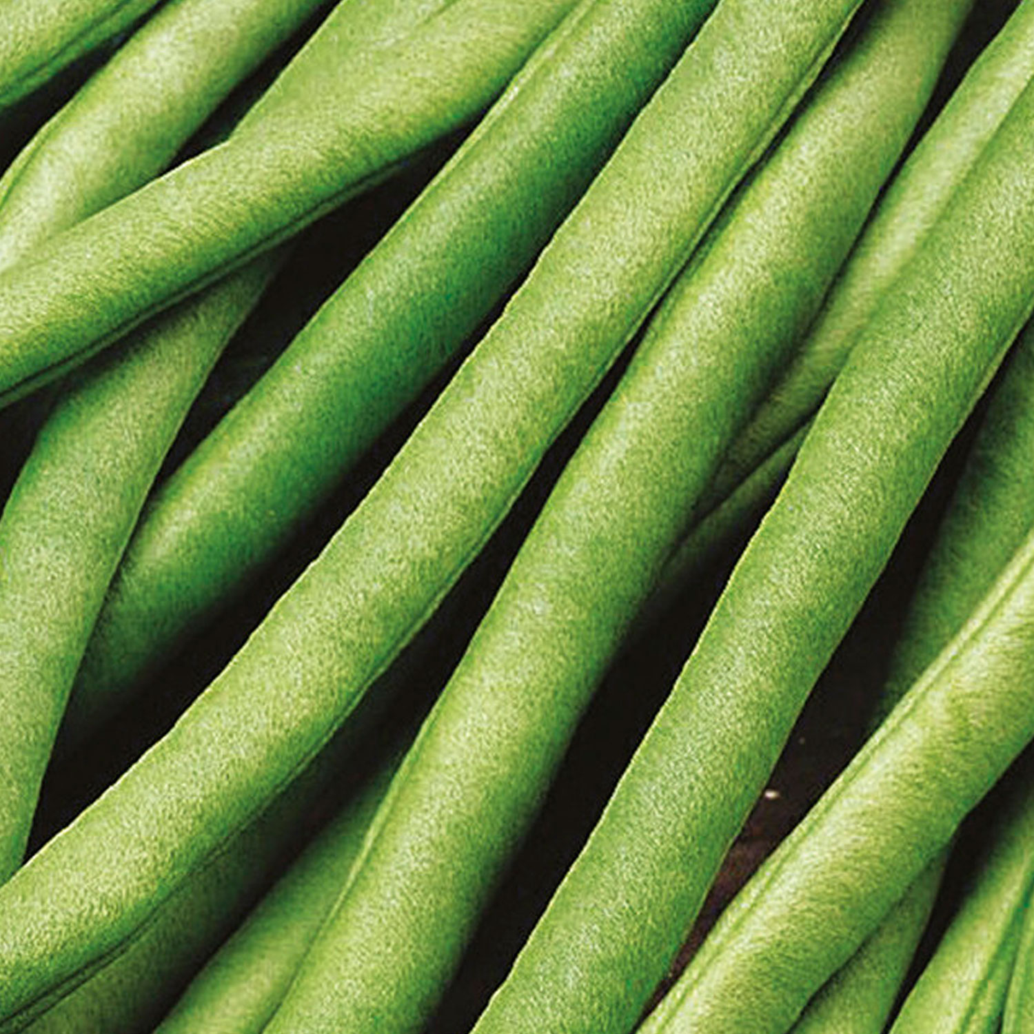 Johnsons Cobra Climbing French Bean Seeds Image 1