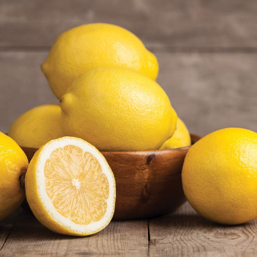 Thompson and Morgan Citrus Lemon Tree Potted Plant 9cm 3 Pack Image 4