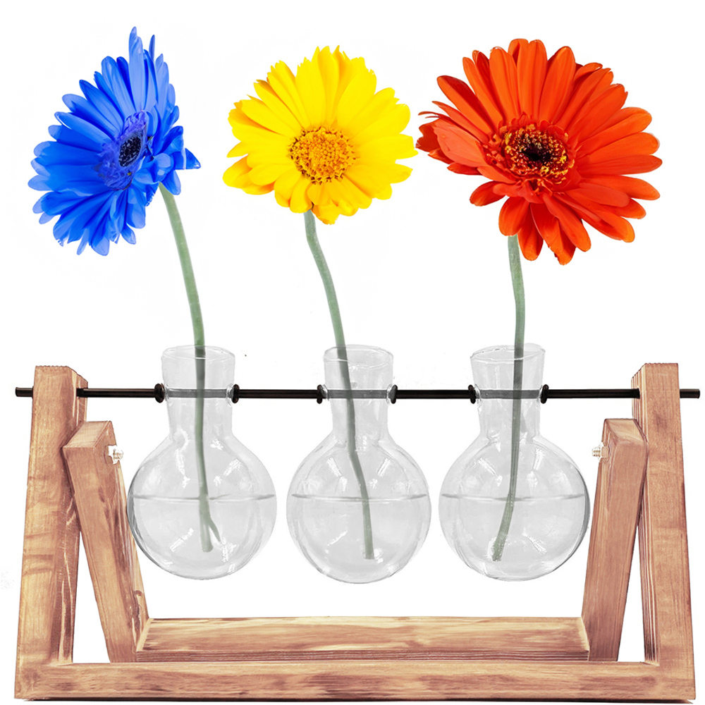 Red5 3 Piece Propagation Vase Image 3