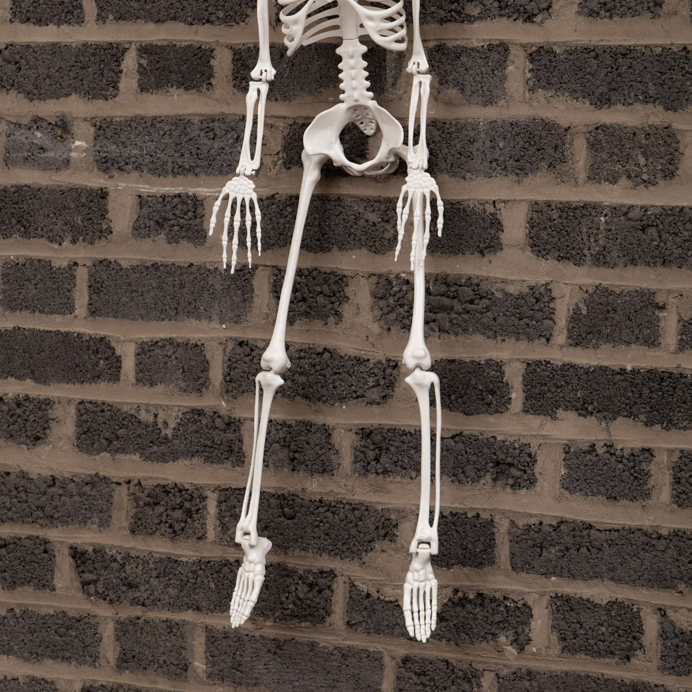 Samuel Alexander Posable Full Body Skeleton Halloween Decoration 3ft Image 7