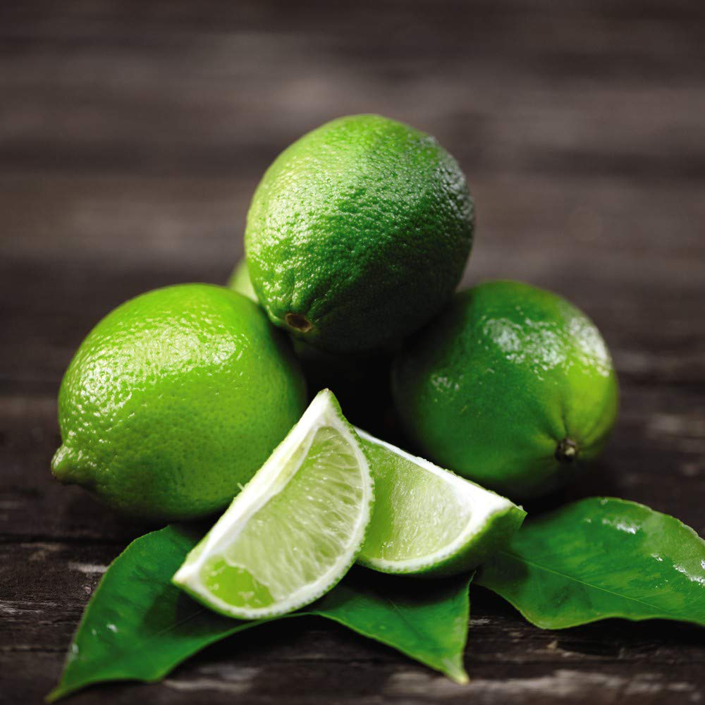 Thompson & Morgan Citrus Lime Tree Potted Plant Image 4