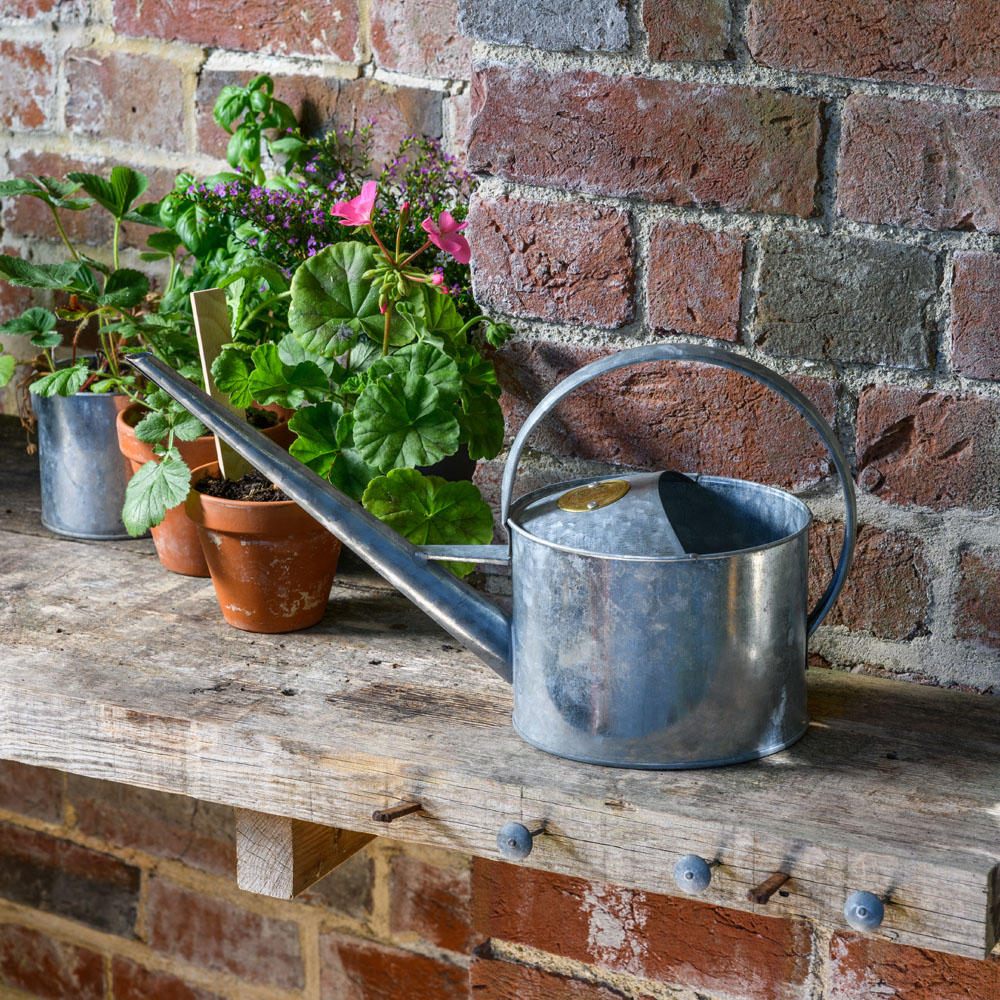 Burgon and Ball Sophie Conran Galvanised Indoor Watering Can 1.7L Image 2