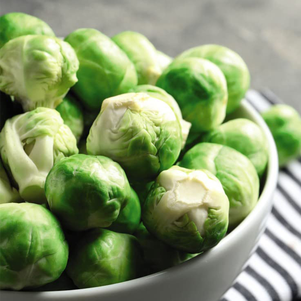 Thompson & Morgan Brussels Sprout Crispus Postiplugs 20 Pack Image 1