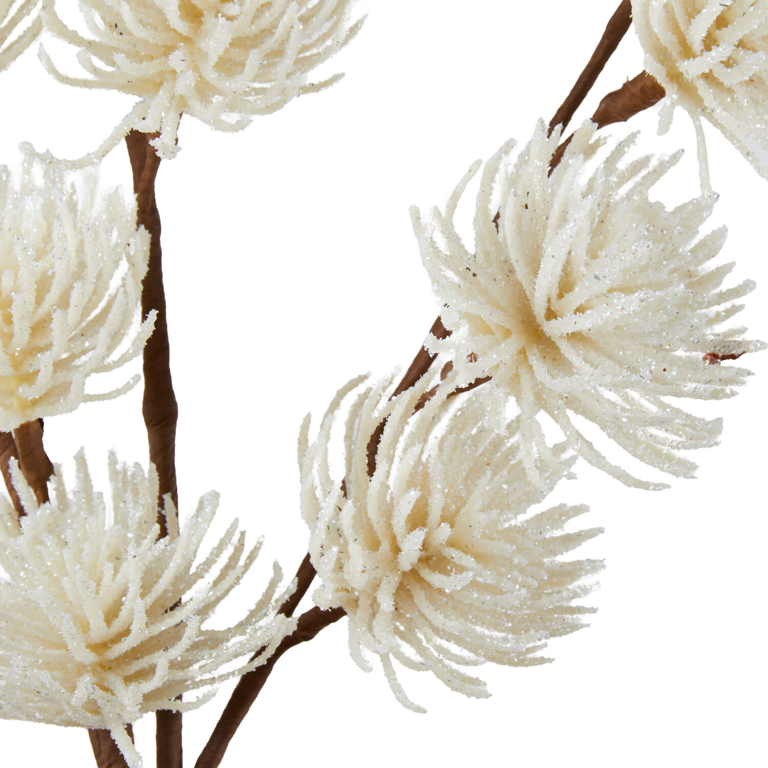 White Thistle Stem Image 2