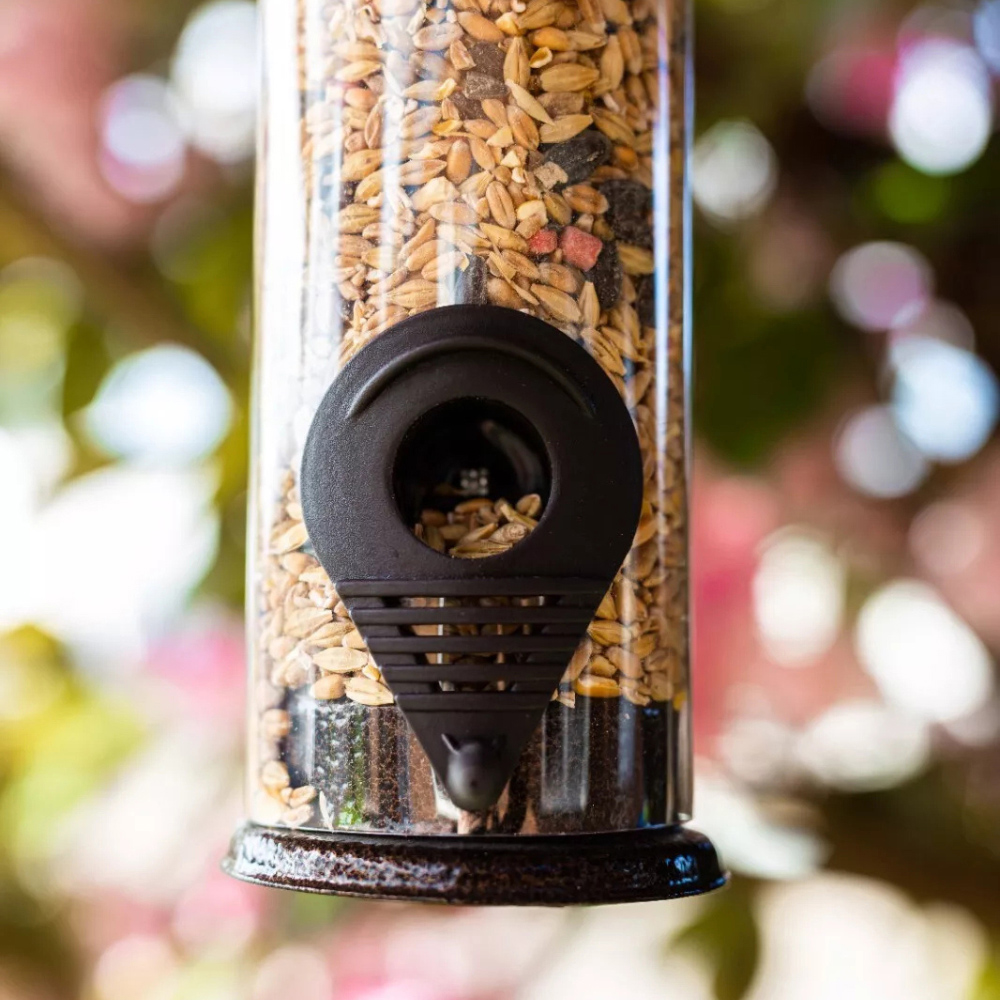 Marco Paul Wild Bird Hammertone Seed Feeder 3 Pack Image 6