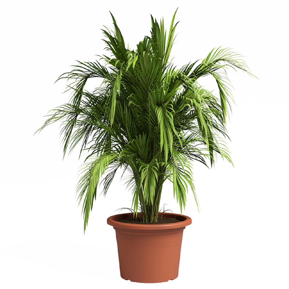 Artevasi Venezia Cilindro Terracotta Planter 40cm Image 3