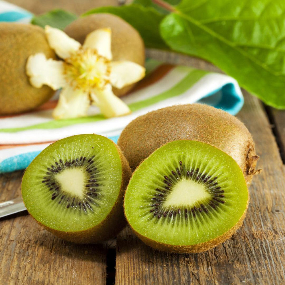 Thompson and Morgan Kiwi Plant Jenny Plant Pot 3L 2 Pack Image 2