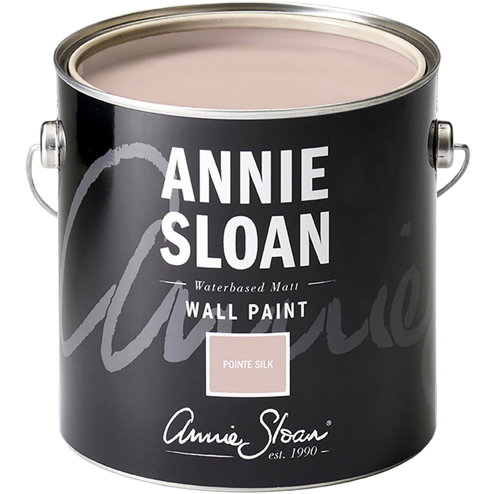 Annie Sloan Pointe Silk Matt Wall Paint 2.5L Image 2