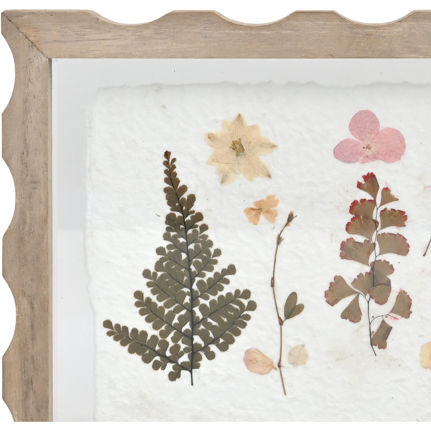 Botanical Dried Flowers Scalloped Art White Image 2