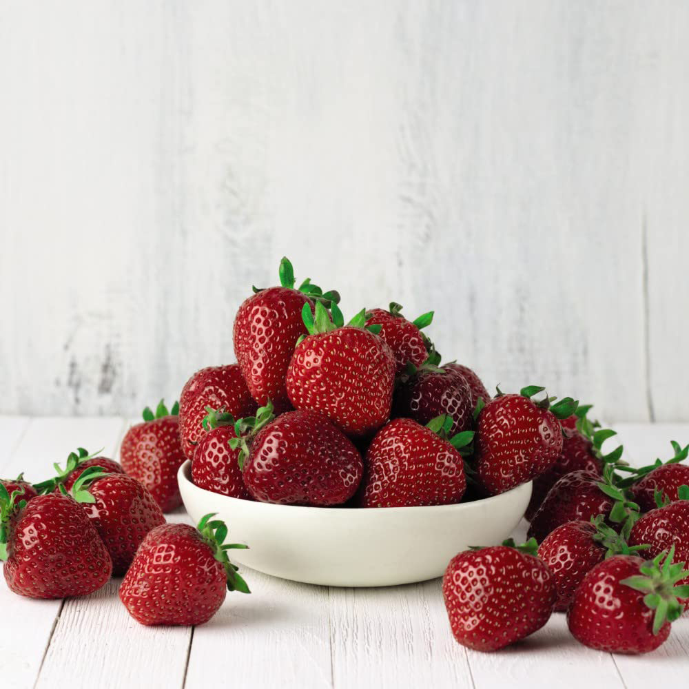 Thompson and Morgan Strawberry Full Season Collection 18 Bare Roots Image 3