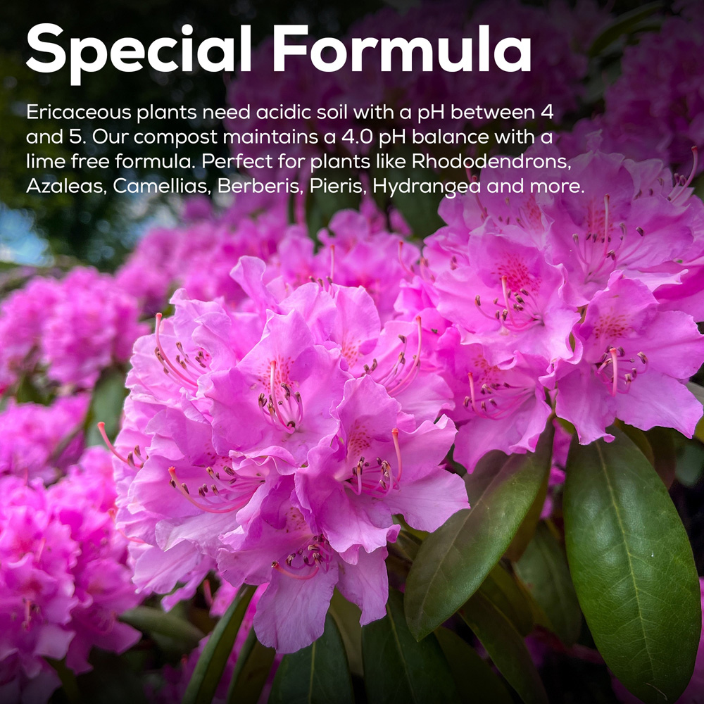 Hardys Ericaceous Compost 60L Image 6
