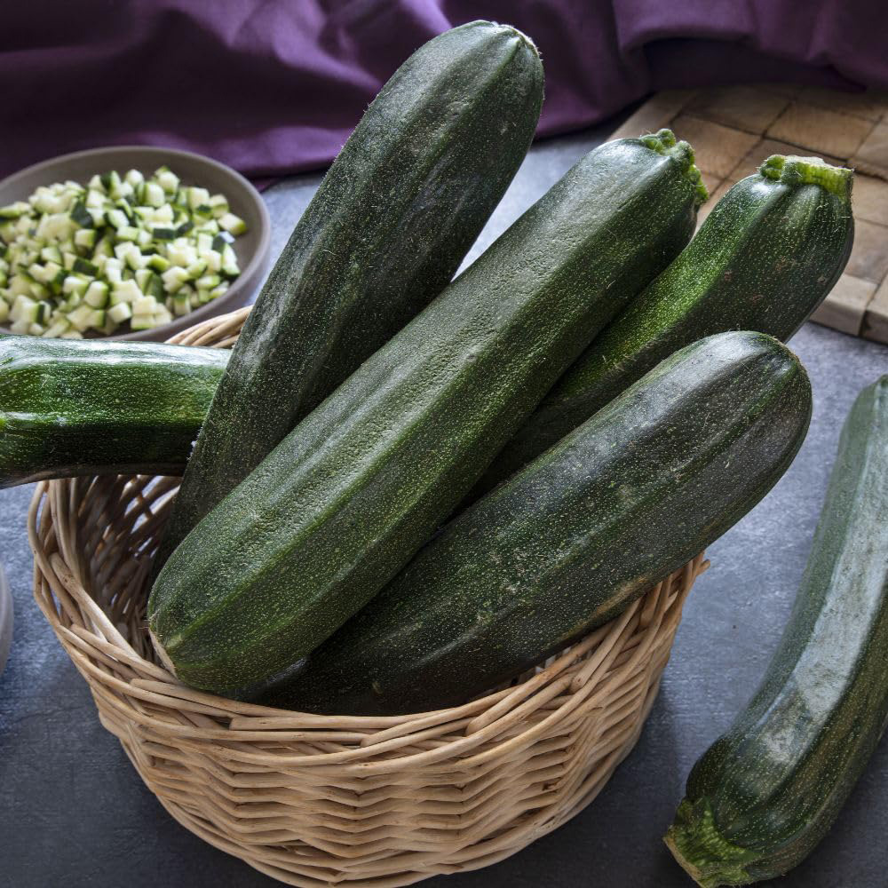 Thompson and Morgan Courgette All Green Bush Seeds Image 3