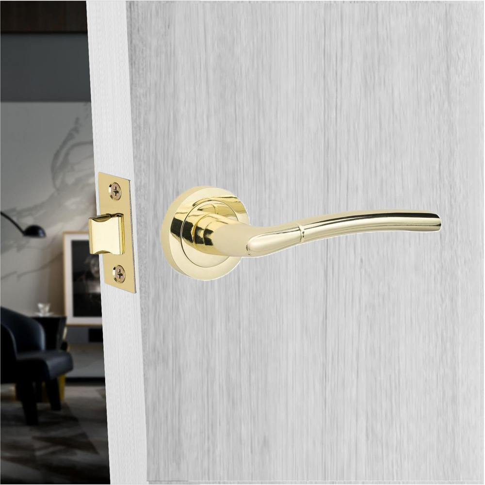 Golden Grace Polished Brass Indiana Door Handles Set Image 2