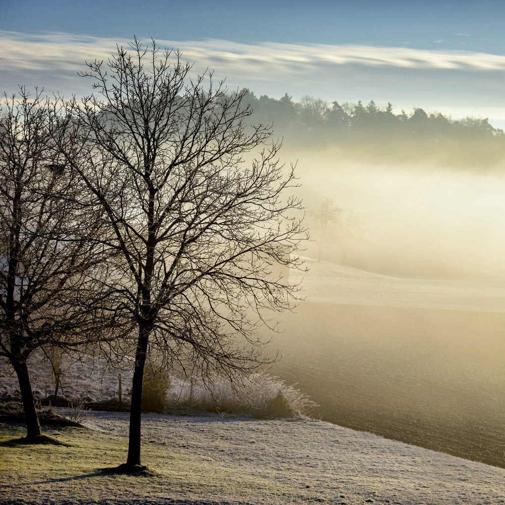 Mirrorstone Nexus Spring Morning Image Wi-Fi Infrared Heating Panel 350W 595 x 595mm Image 4