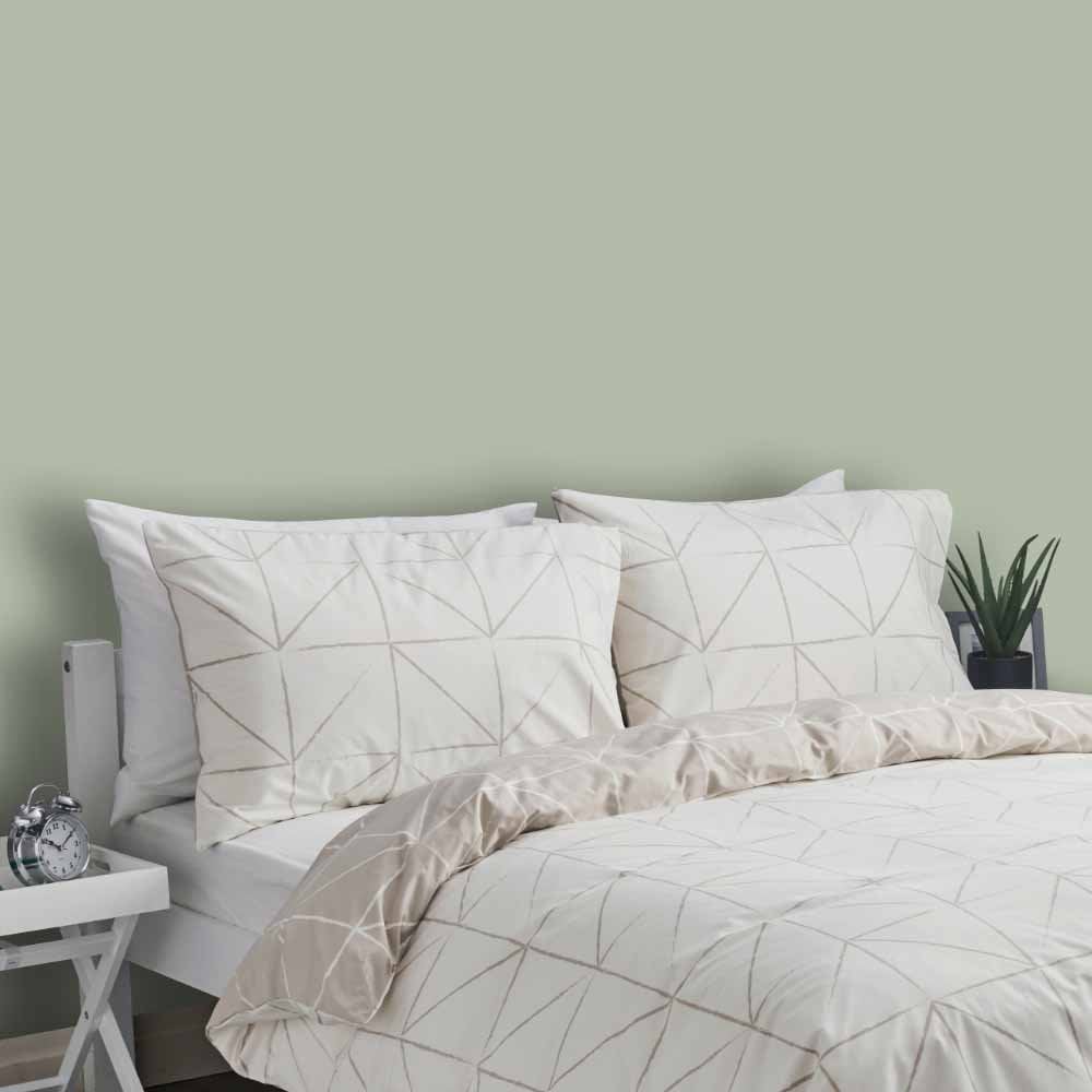 Wilko Walls & Ceilings English Sage Silk Emulsion Paint 5L Image 5