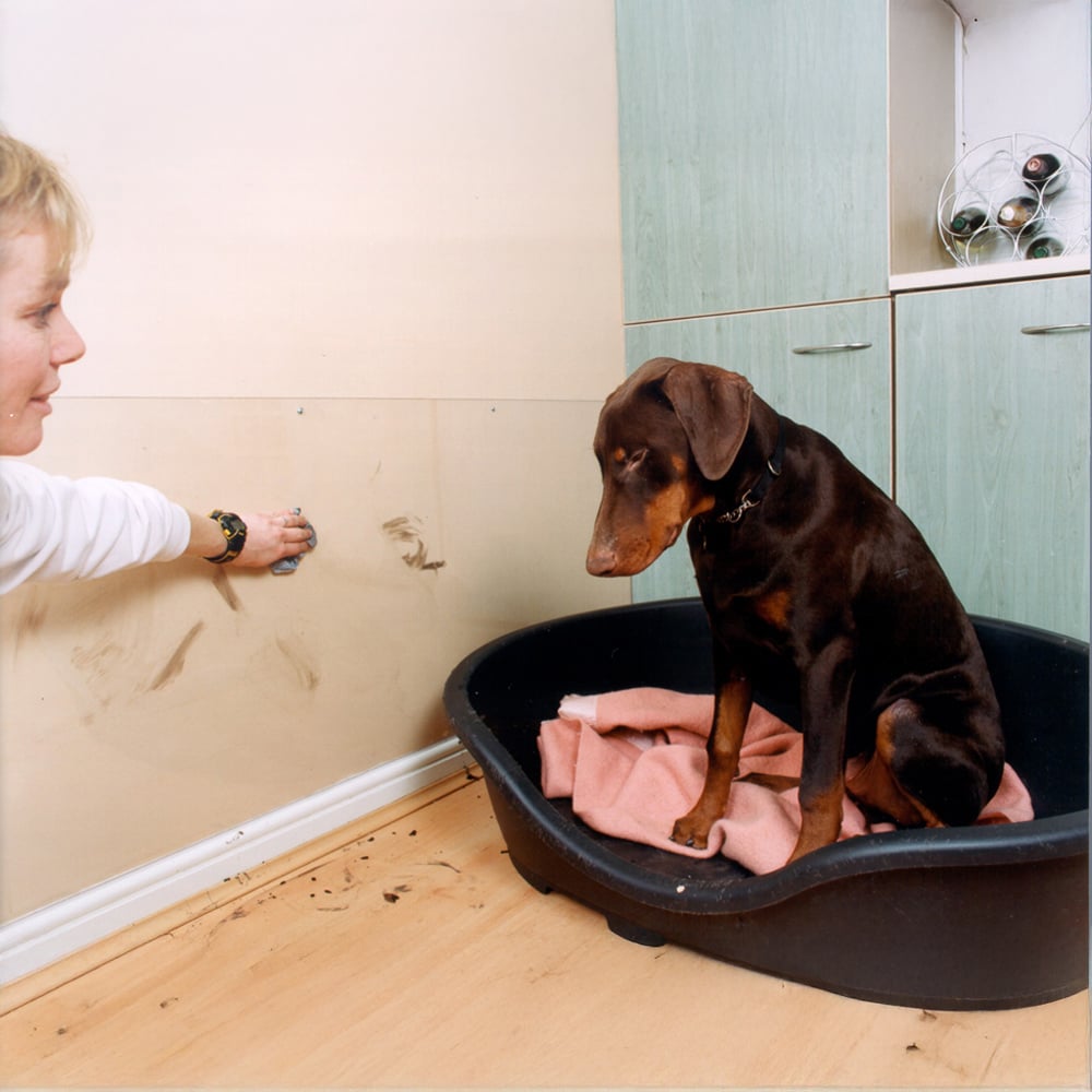 Corotherm Clear Multiwall Polycarbonate Sheet 4000 x 700 x 10mm Image 2