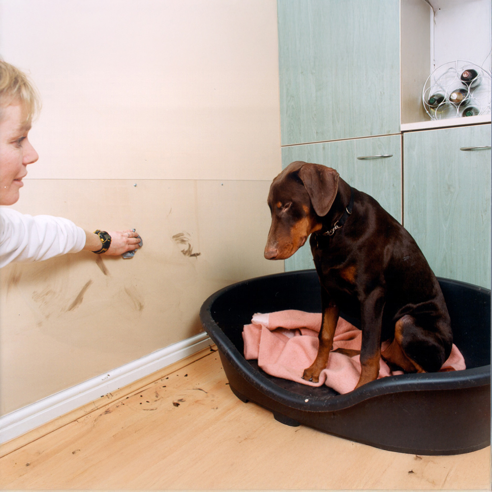 Flat Glazing Styrene Clear Polystyrene Glazing Sheet 1200 x 900 x 4mm Image 2