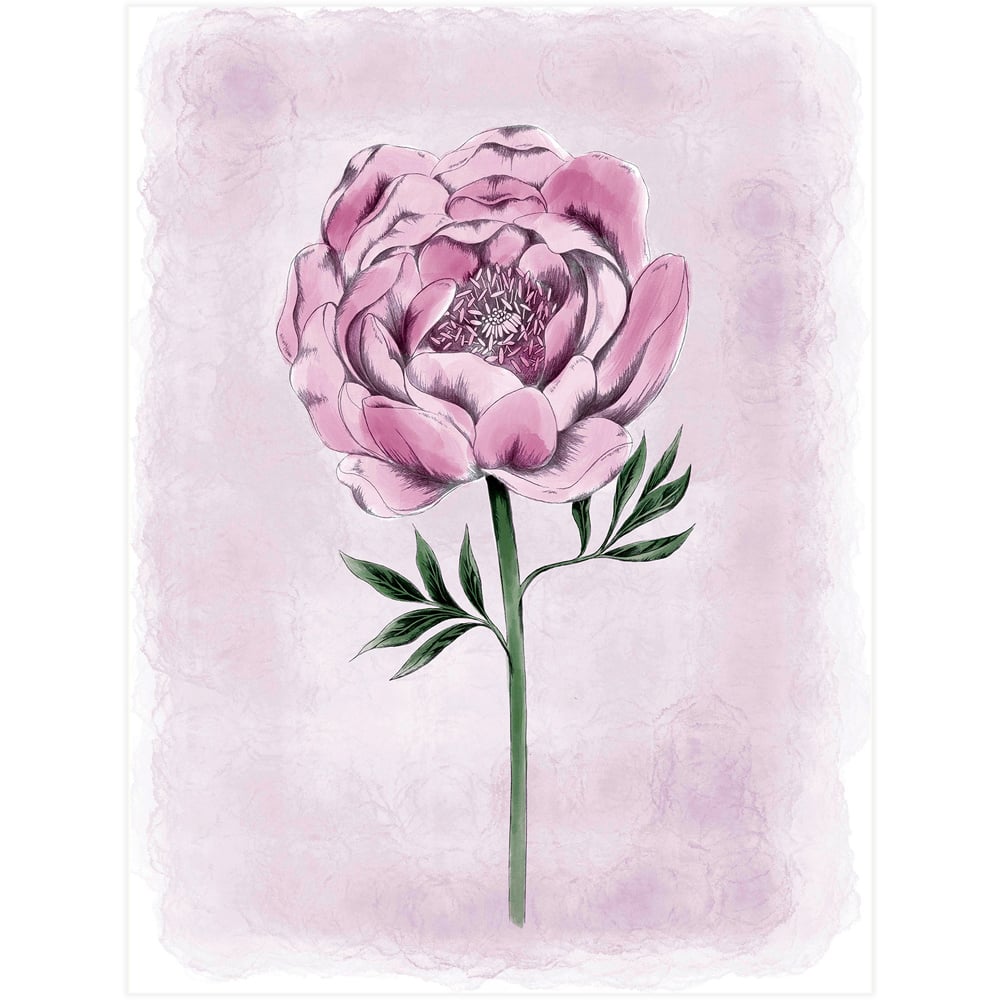 Laura Ashley Peony Floral Black Frame Wall Art 70 x 100cm Image 4