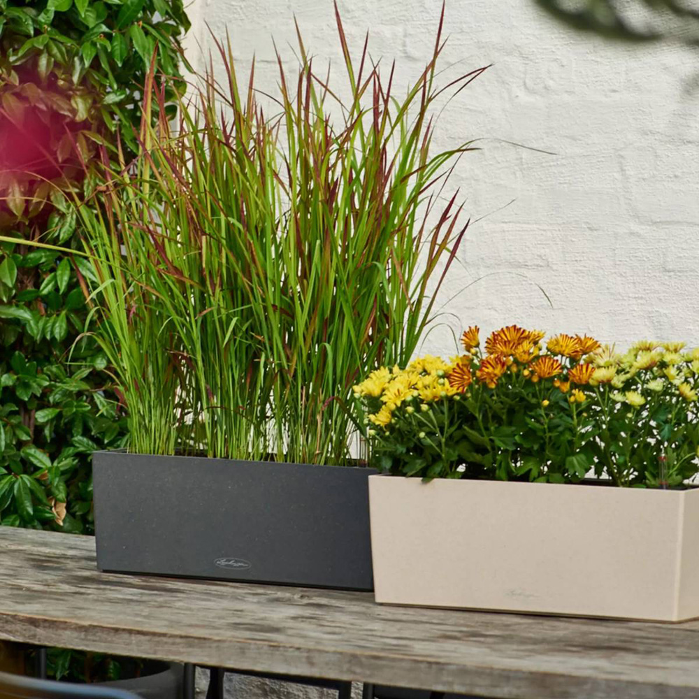 Lechuza Balconera Stone Grey Self Watering Window Box Planter 50cm 2 Pack Image 5