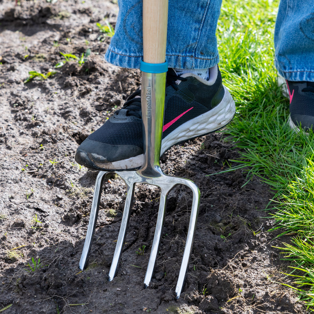 Burgon and Ball Growing Gardeners Digging Fork Image 6