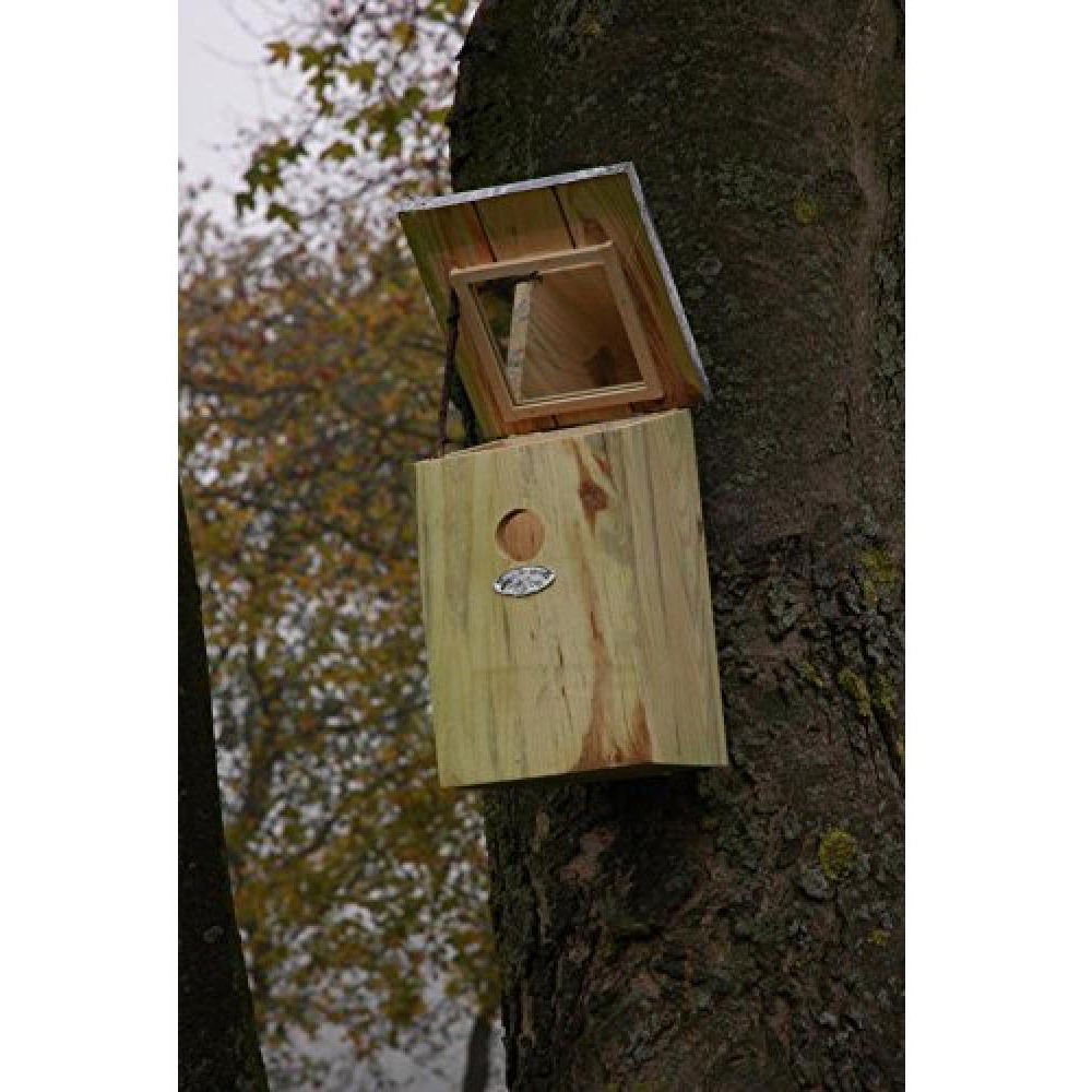 Fallen Fruits Wooden Mirror Bird Nesting Box Image 3