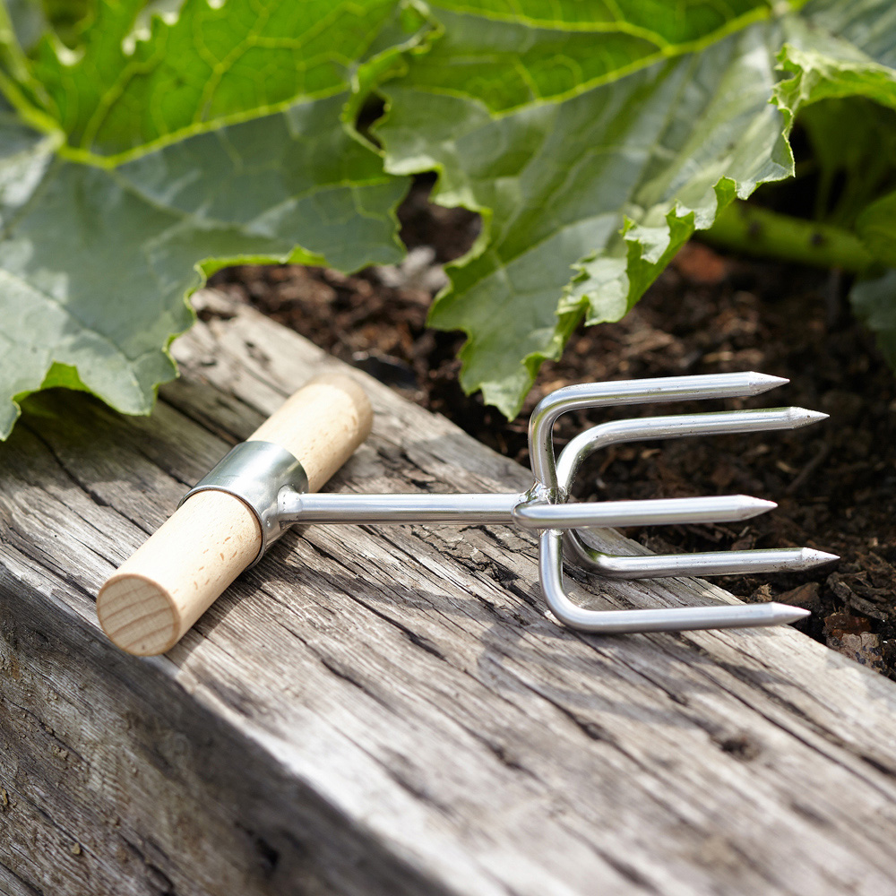 Sophie Conran Stainless Steel Garden Twist Cultivator with Beech Wood Handle in Gift Box Image 2