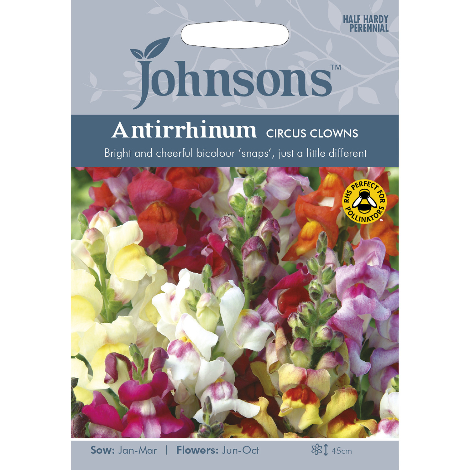 Johnsons Pack of Antirrhinum Circus Clowns Image 1