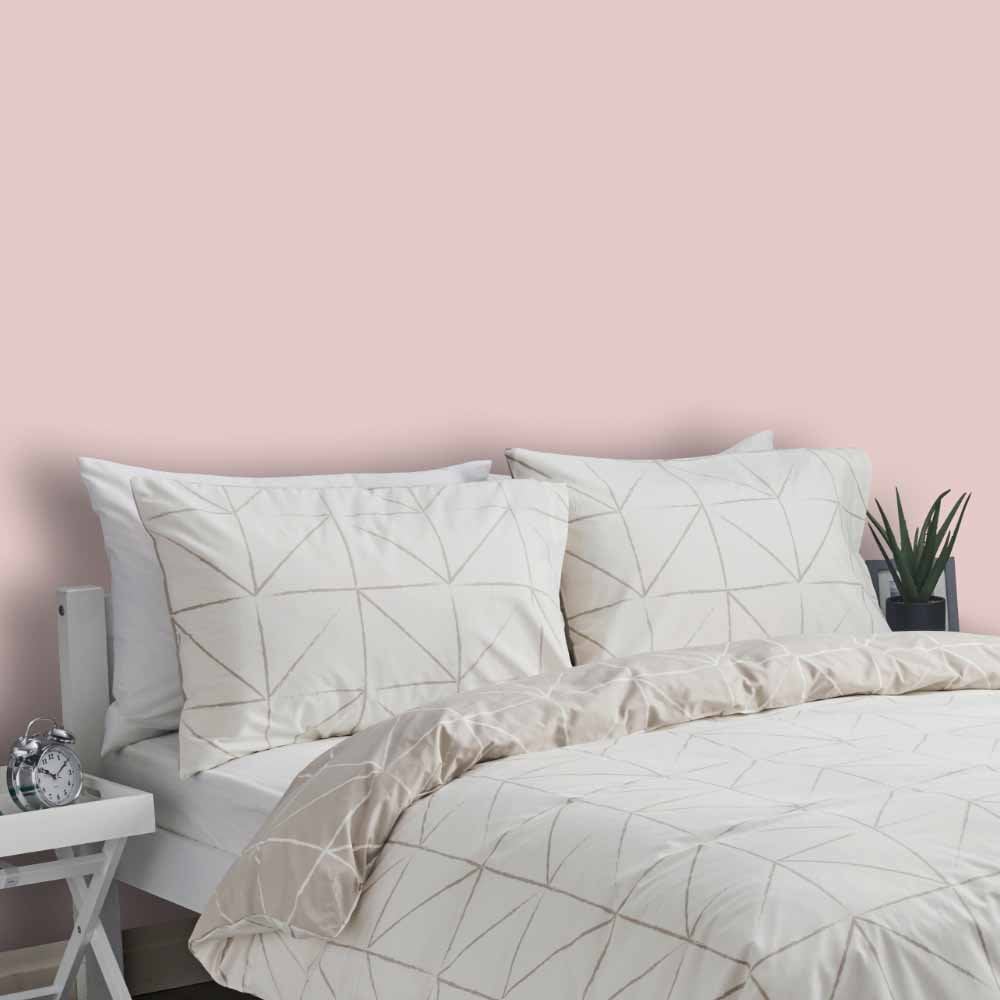 Wilko Walls & Ceilings Delicate Blossom Matt Emulsion Paint 2.5L Image 5