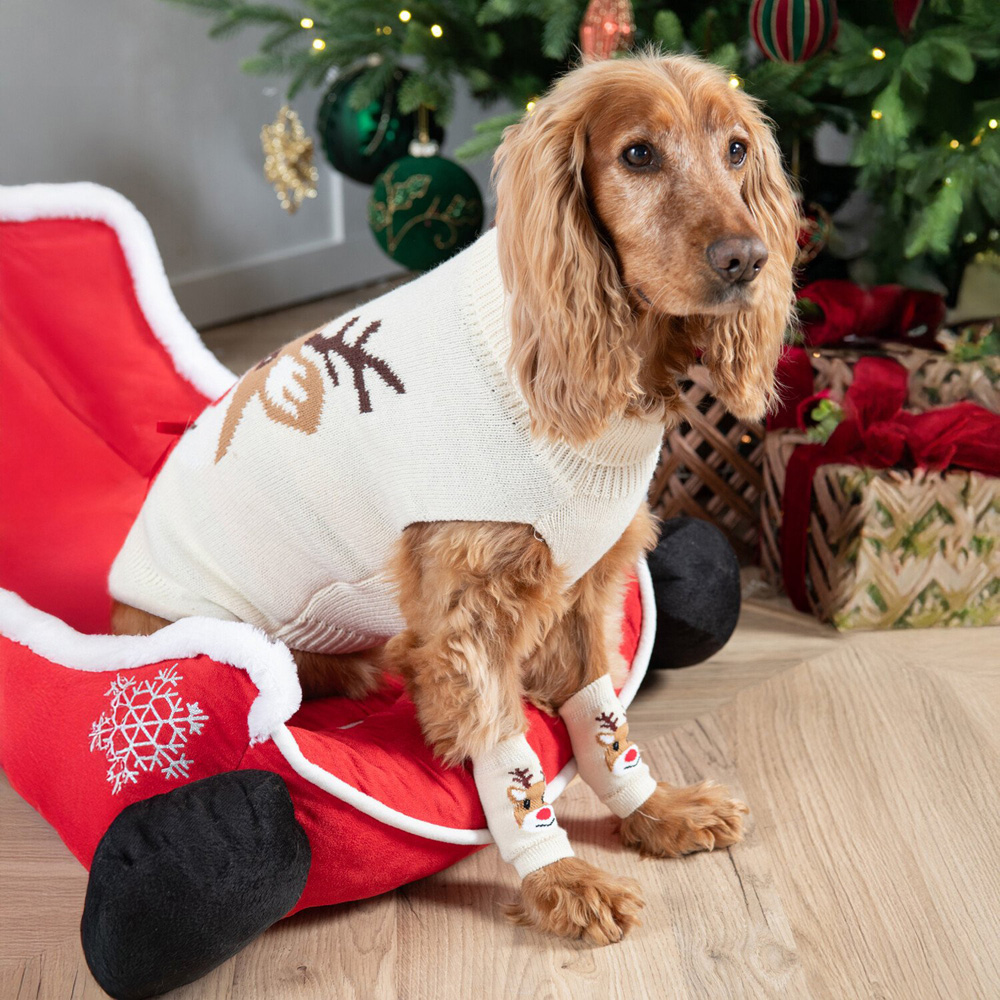 Reindeer Print Dog Jumper Cream XS Image 2