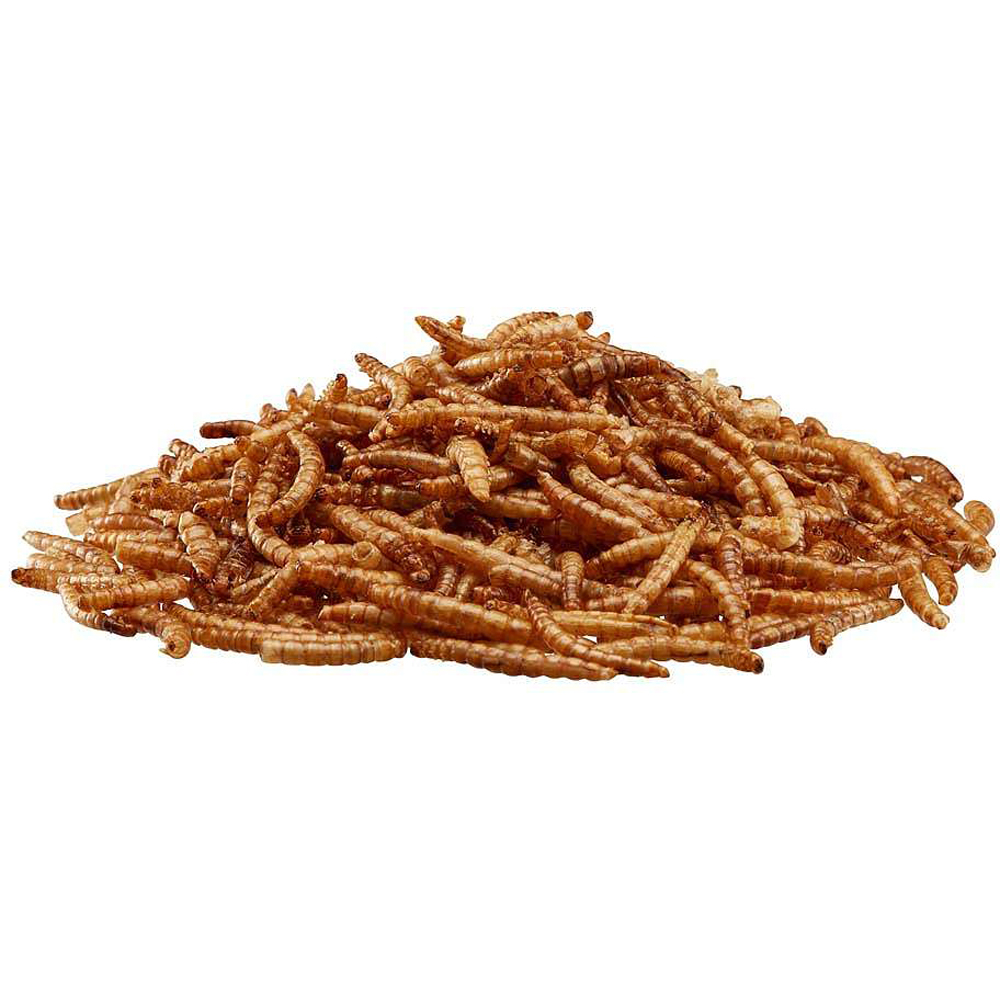 Happy Beaks Meal Worms Bag Bird Food 500g Image 3