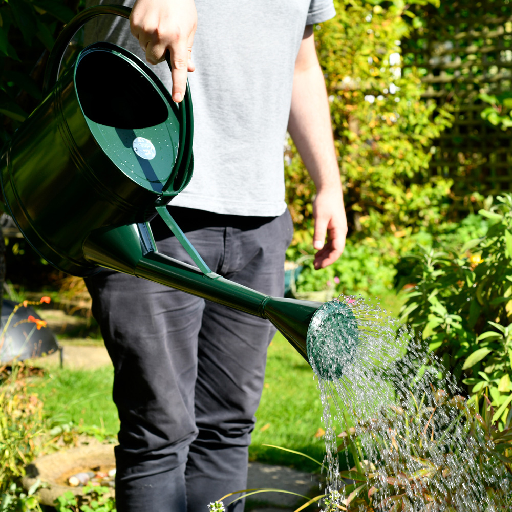 Burgon & Ball British Racing Green Galvanised Steel Waterfall Watering Can with Removeable Rose 9L Image 6