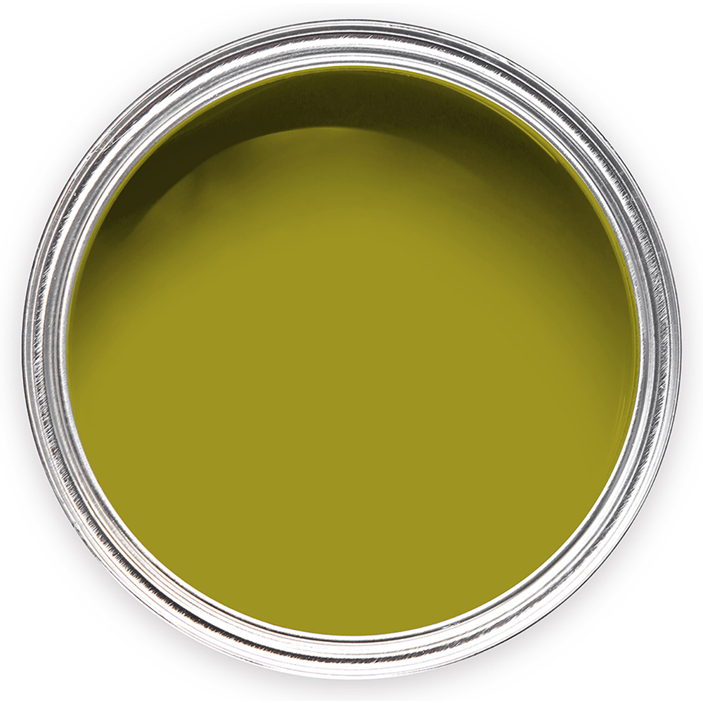 Annie Sloan Firle Matt Chalk Paint 500ml Image 3