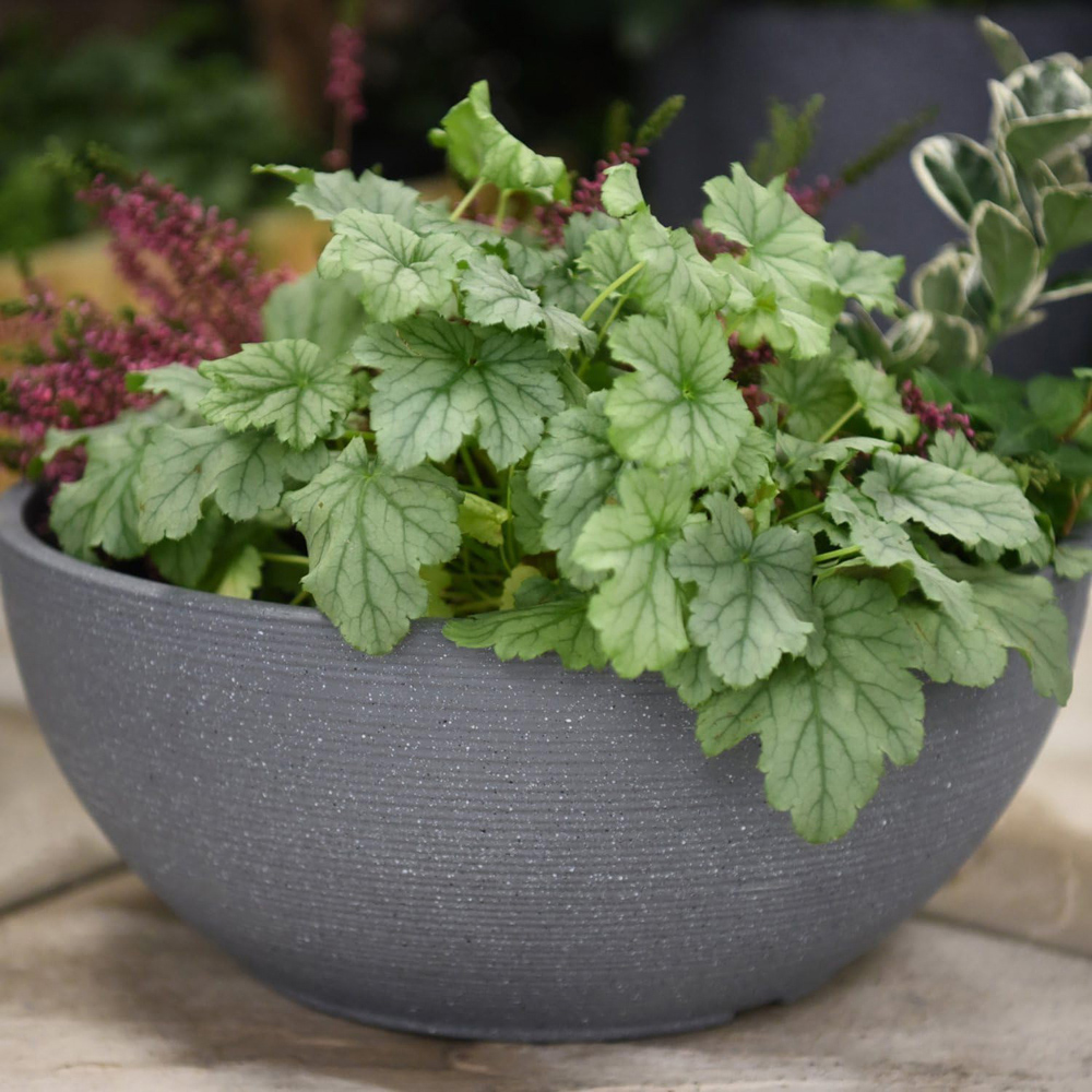 Garden Gear Dark Grey Bayadere Bowl Planter Image 3