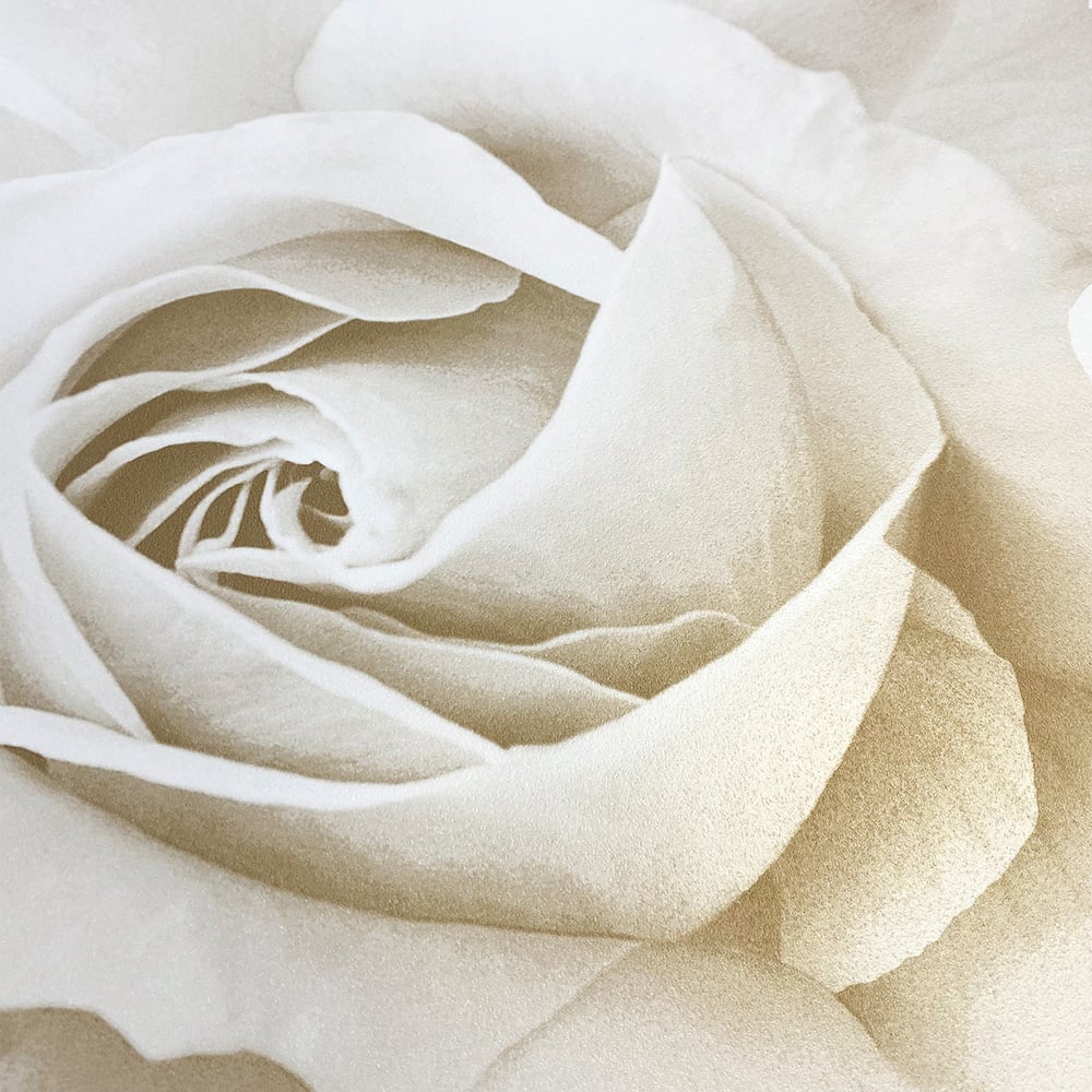 Muriva Rhoda Rose Cream Wallpaper Image 3