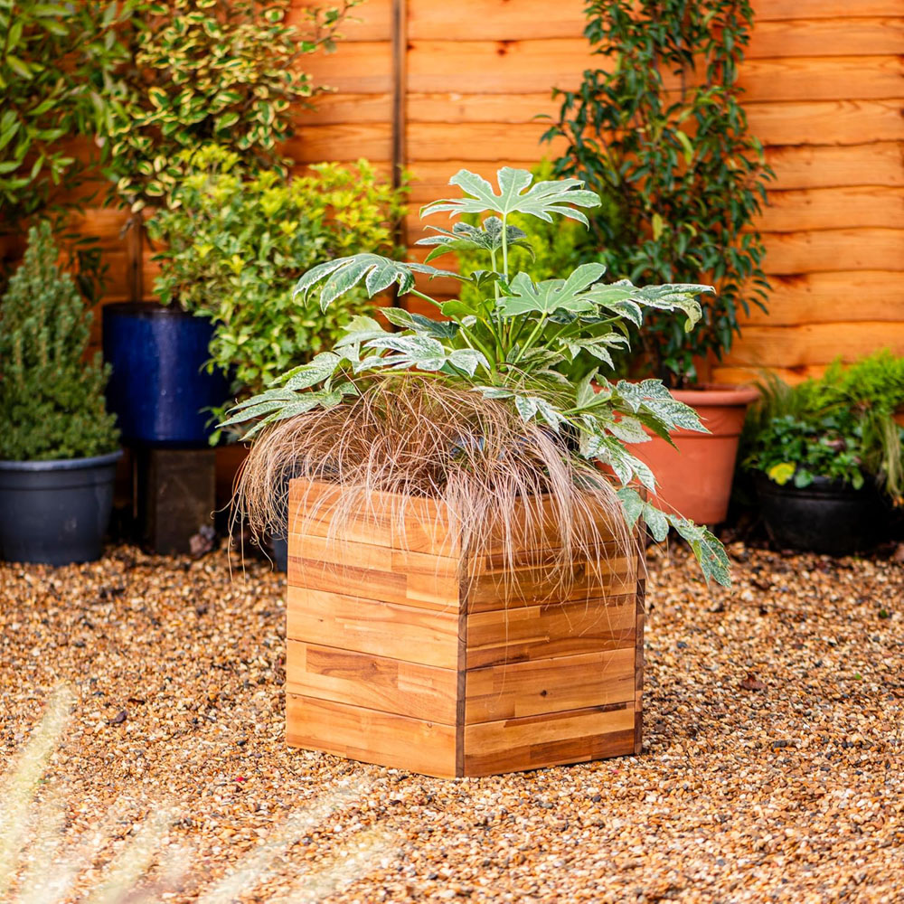 Thompson & Morgan Acacia Planter Box 40 x 40 x 42.5cm Image 5