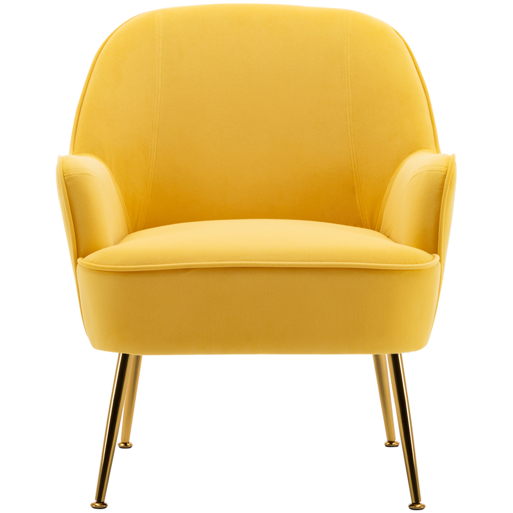 Living and Home Yellow and Gold Armchair Image 2