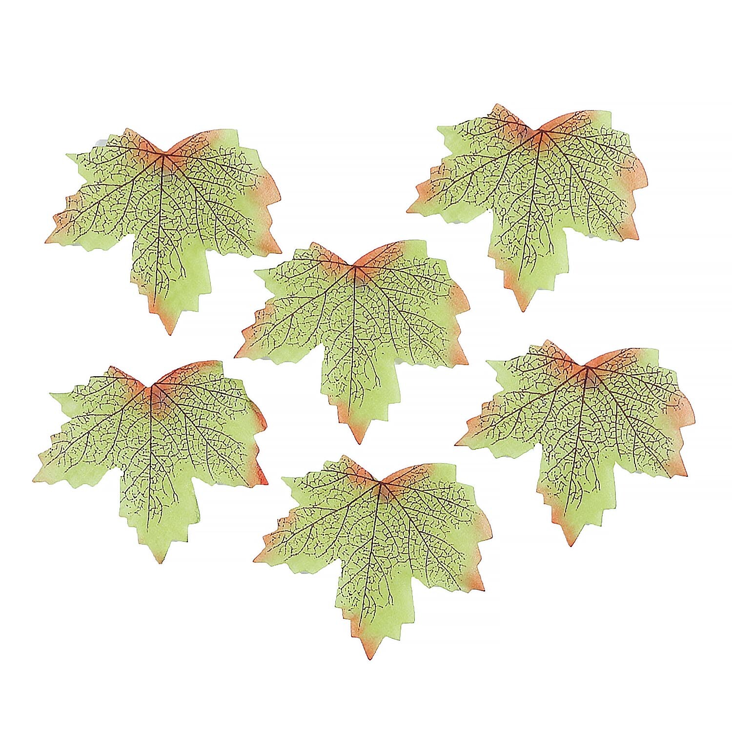 Pack of 30 Small Maple Leaves Image 4