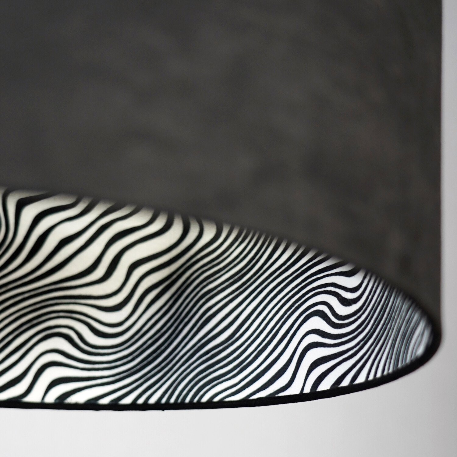 Black Zebra Shade - Black and White Image 4