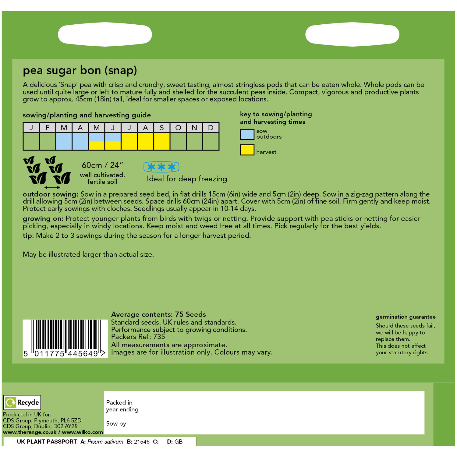 Pea Sugar Bon Seeds Image 2