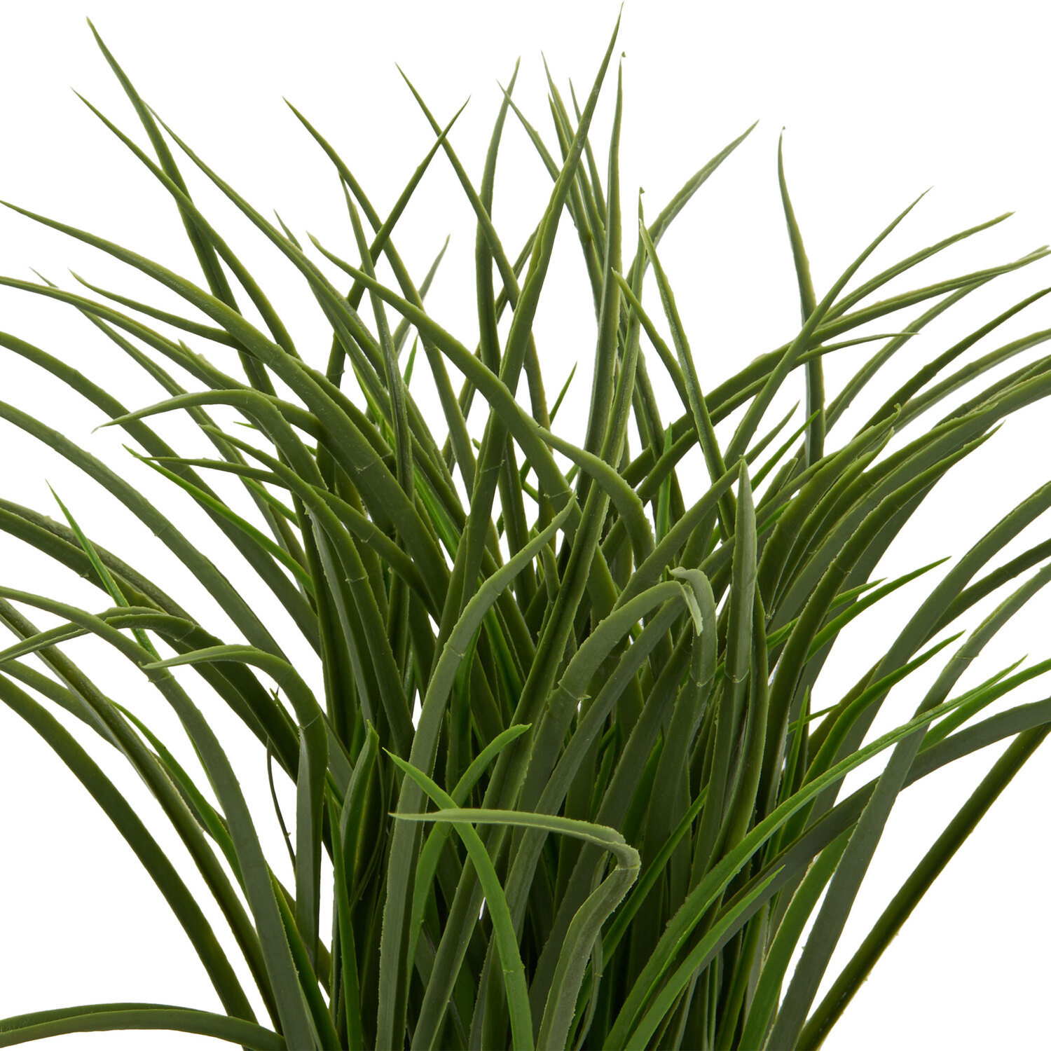 Grass in Water Hyacinth Basket - Green Image 2