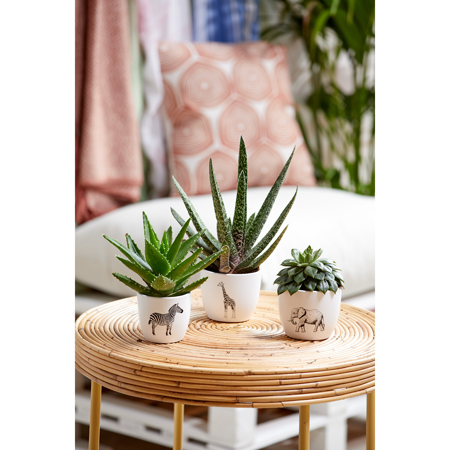 Soendgen Safari Club Pot - White Image 4