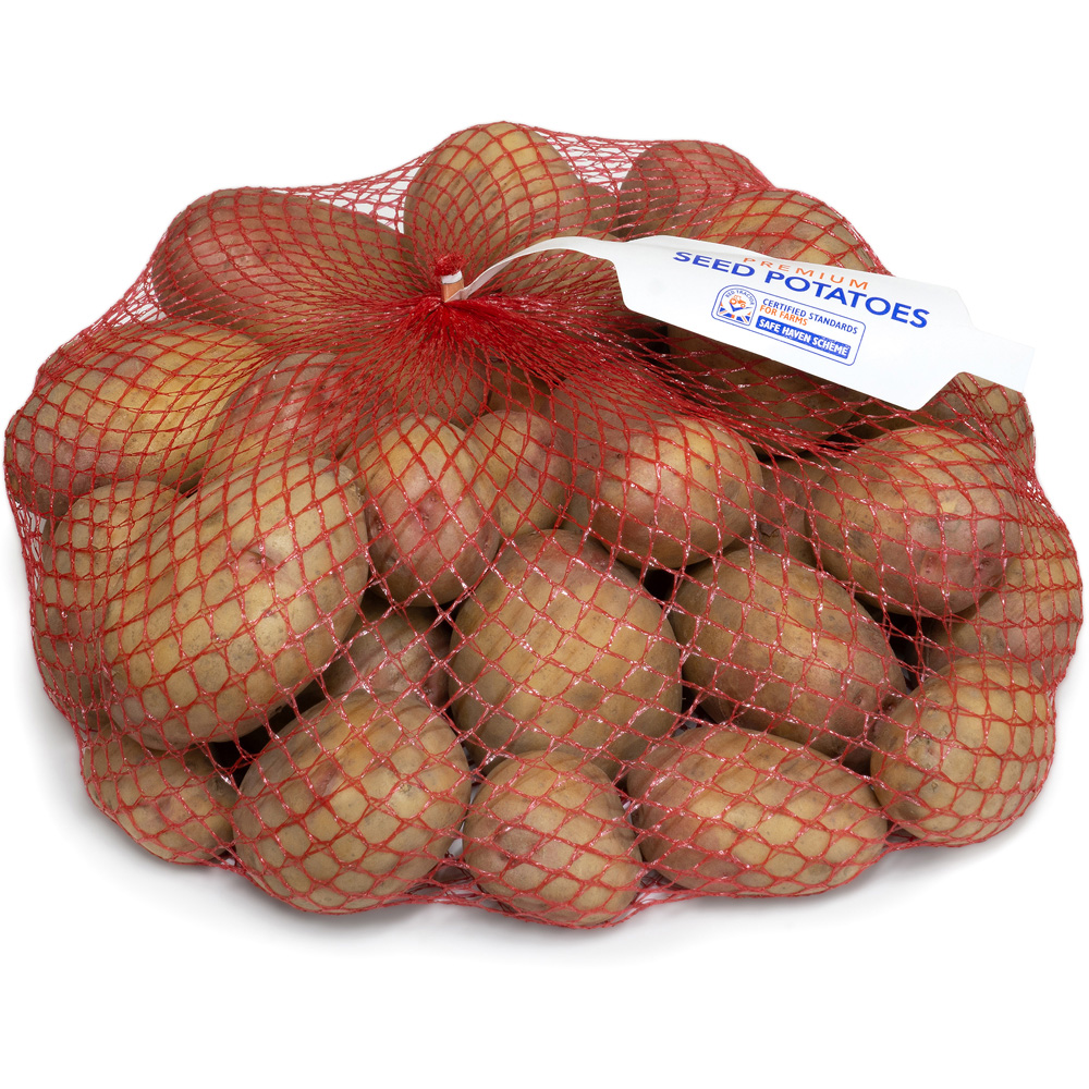 YouGarden King Edward Seed Potato Tubers Maincrop 2.5kg Image 2