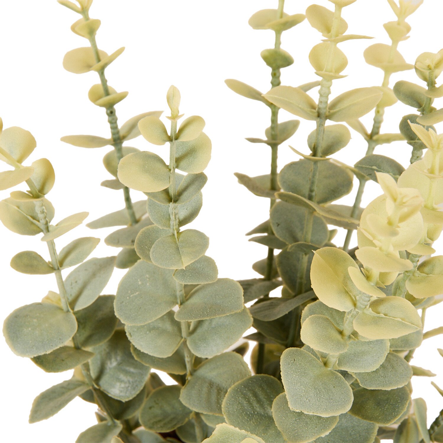 Eucalyptus in Water Hyacinth Basket 40cm - Green and Brown Image 4