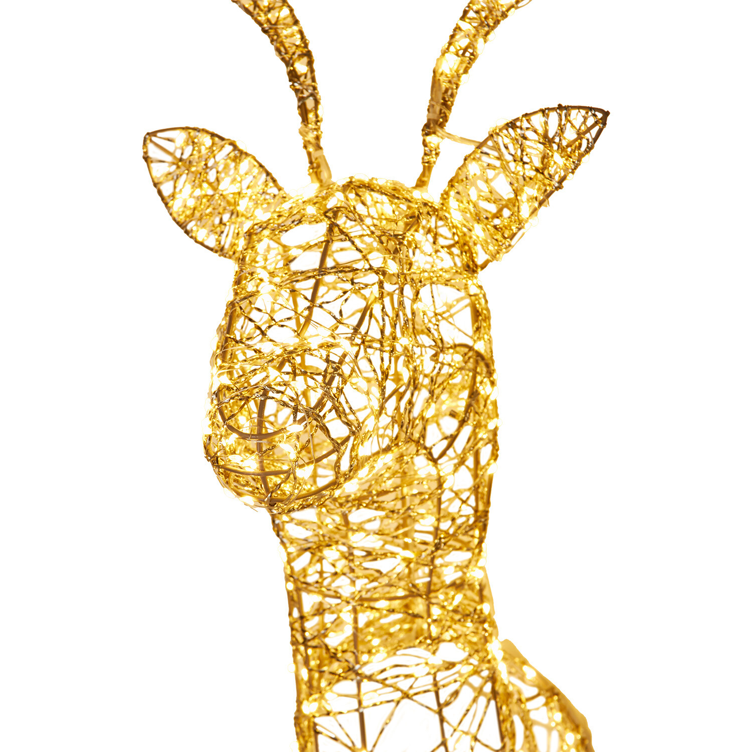 600 LED Stag HeadCopper Image 5